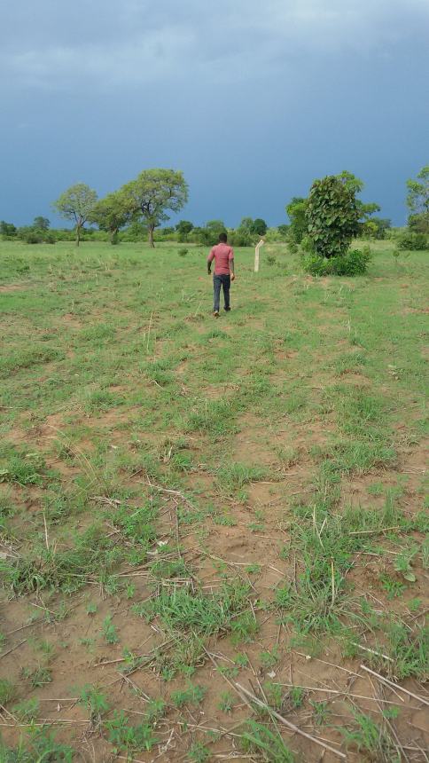 Land due diligence — illustrative image